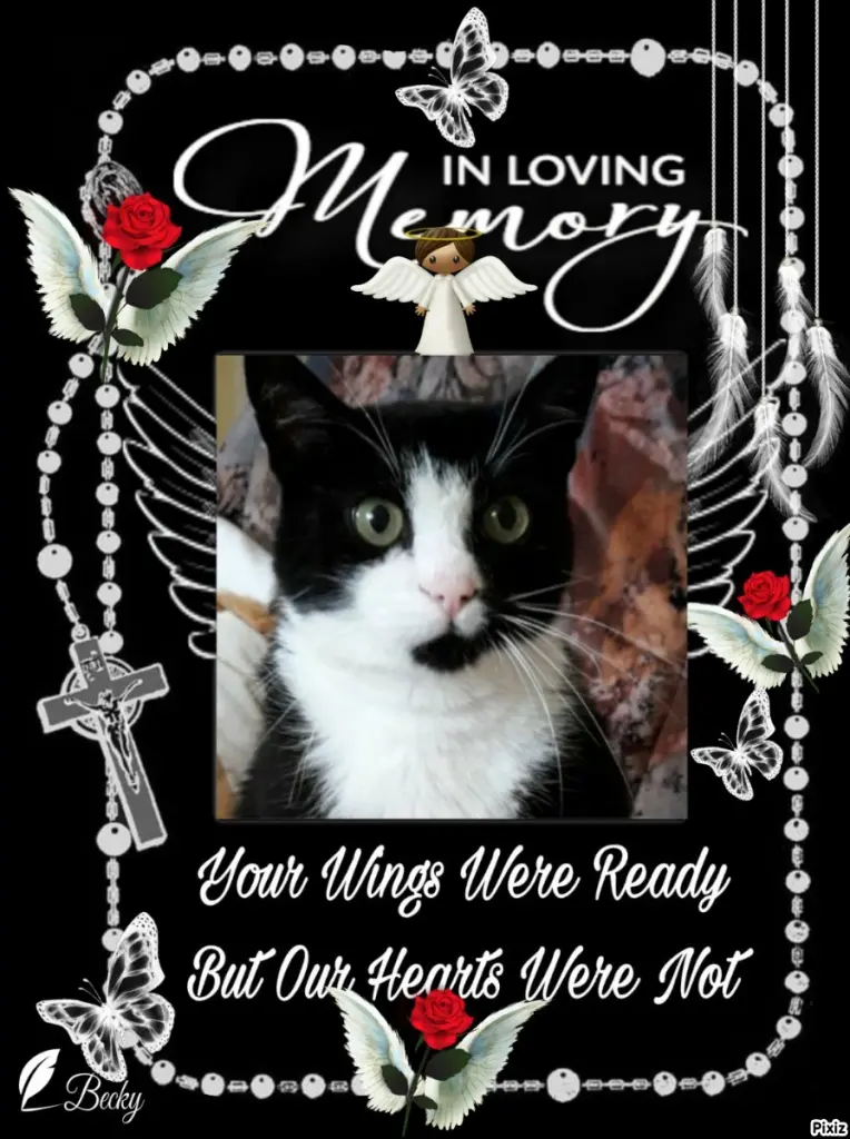 Andachtsbild von Tanja mit Timmy im Herzen 