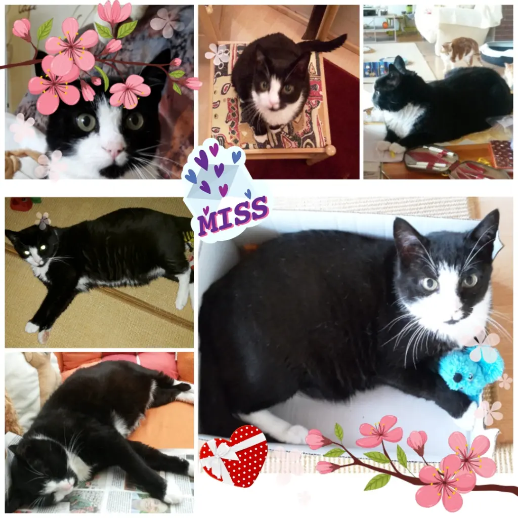 Andachtsbild von ❤️Deine Mutti und deine Oma ❤️ 