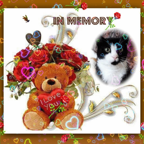 Andachtsbild von 3.Sternchen❤Gedenktag❤❤❤