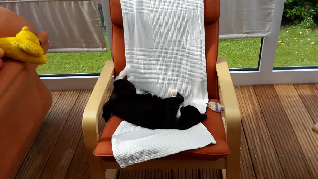 Andachtsbild von ❤️Deine Mutti und deine Oma ❤️ 