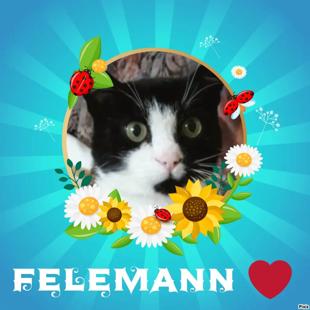 Andachtsbild von Tanja mit Timmy im Herzen 