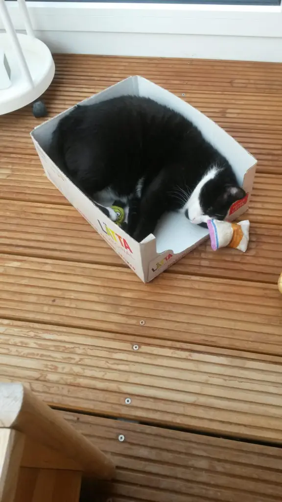 Andachtsbild von ❤️Deine Mutti Eike und Oma Edeltraud ❤️ 