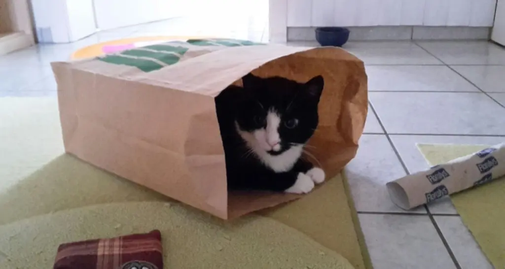 Andachtsbild von ❤️Deine Mutti und deine Oma ❤️ 