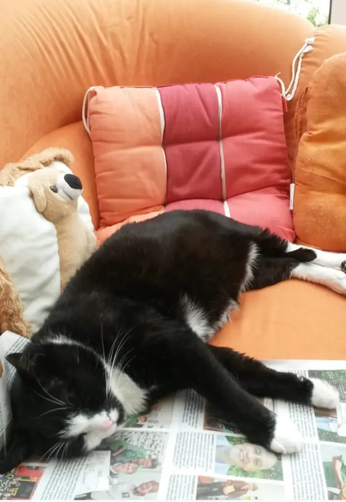 Andachtsbild von ❤️Deine Mutti Eike und Oma Edeltraud ❤️ 