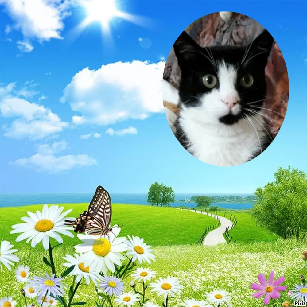 Andachtsbild von Tanja mit Timmy im Herzen 