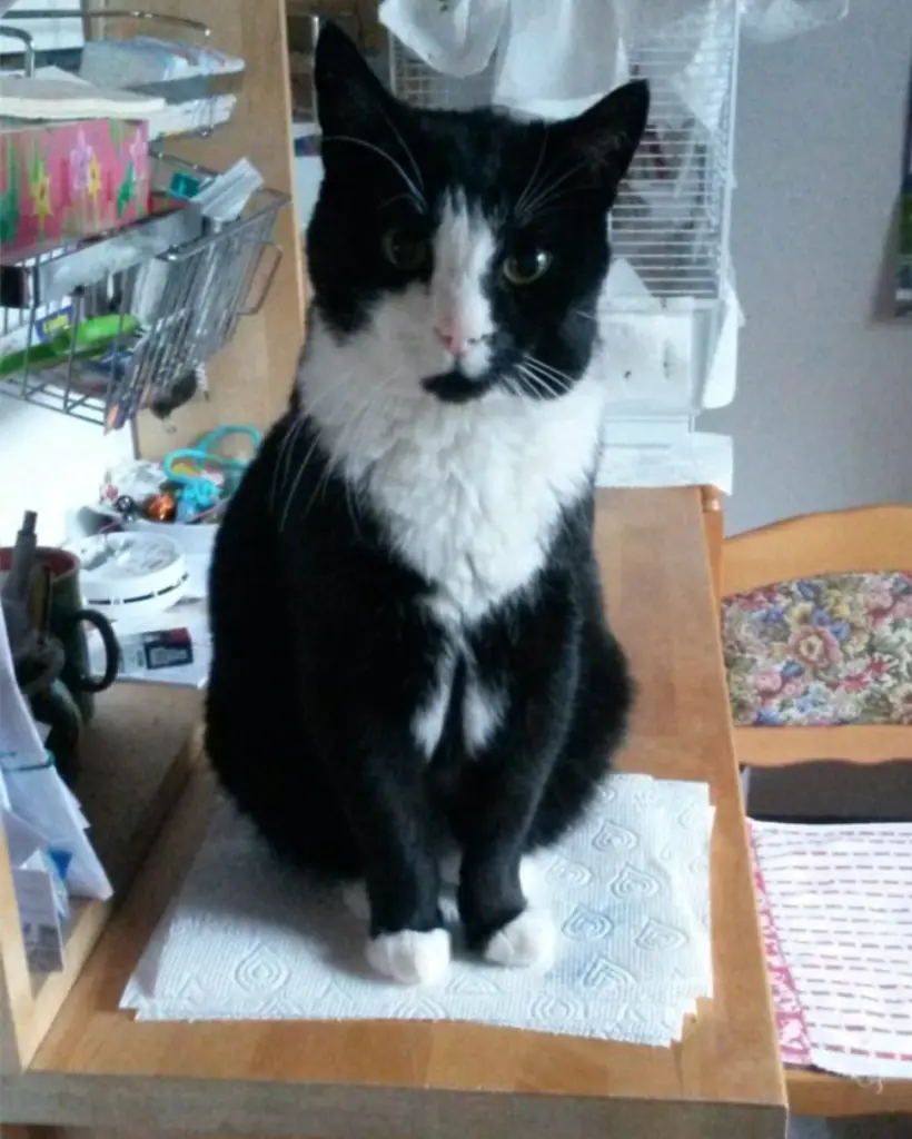 Andachtsbild von ❤️Deine Mutti und deine Oma ❤️ 