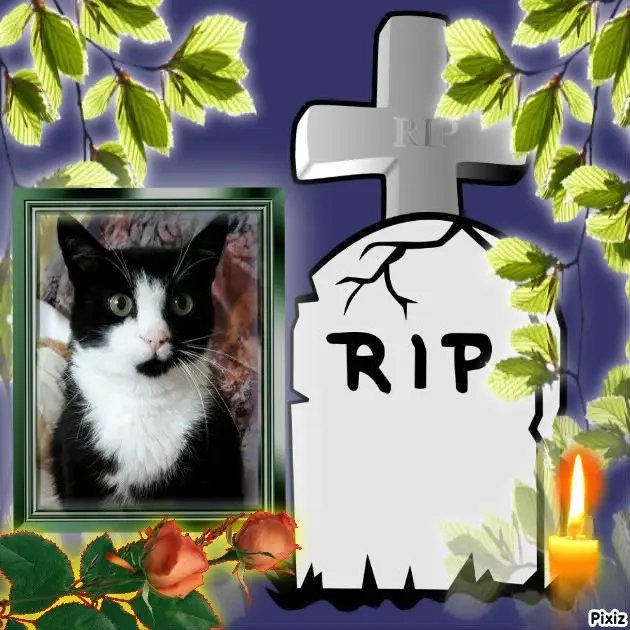 Andachtsbild von Tanja mit Timmy im Herzen 