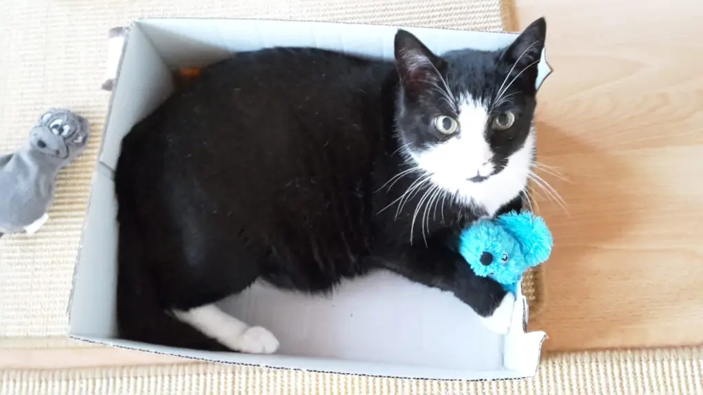 Andachtsbild von ❤️45 Mo ❤️Deine Mutti und deine Oma ❤️ 