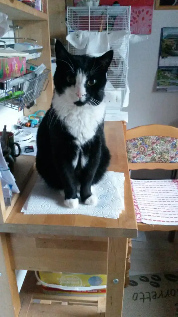 Andachtsbild von ❤️46 Mo❤️Deine Mutti und deine Oma ❤️ 