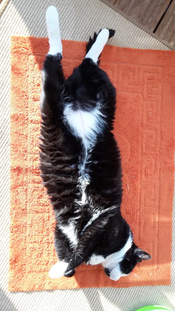 Andachtsbild von ❤️47 Mo❤️Deine Mutti und deine Oma ❤️ 