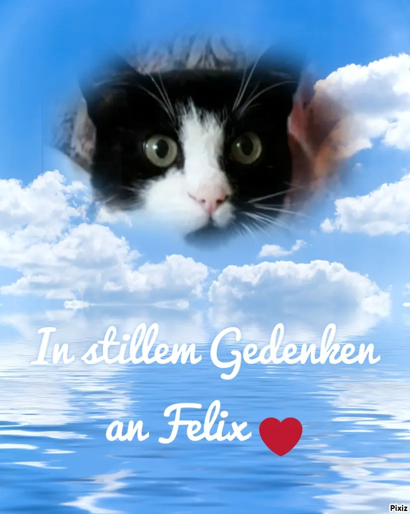 Andachtsbild von Tanja mit Timmy im Herzen 