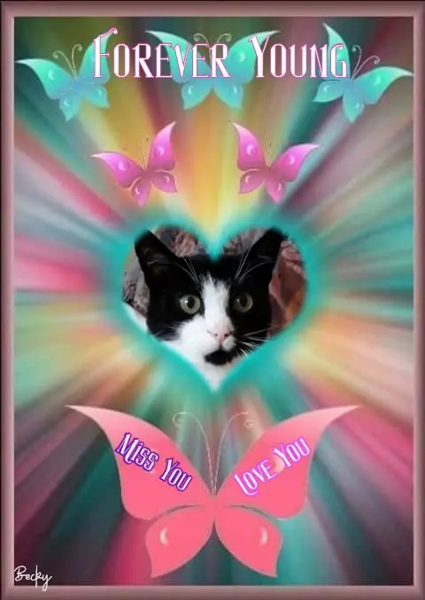 Andachtsbild von 4.Sternchen❤️Gedenktag❤️❤️❤️❤️