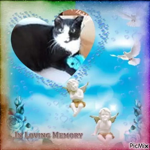 Andachtsbild von 4.Sternchen⭐️Gedenktag❤️❤️❤️❤️