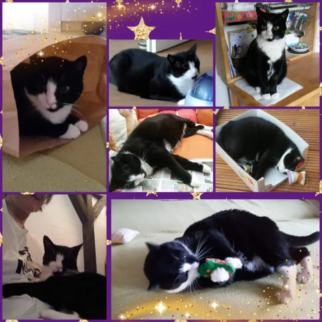 Andachtsbild von ❤️4 Jahre❤️Deine Mutti Eike und Oma Edeltraud ❤️