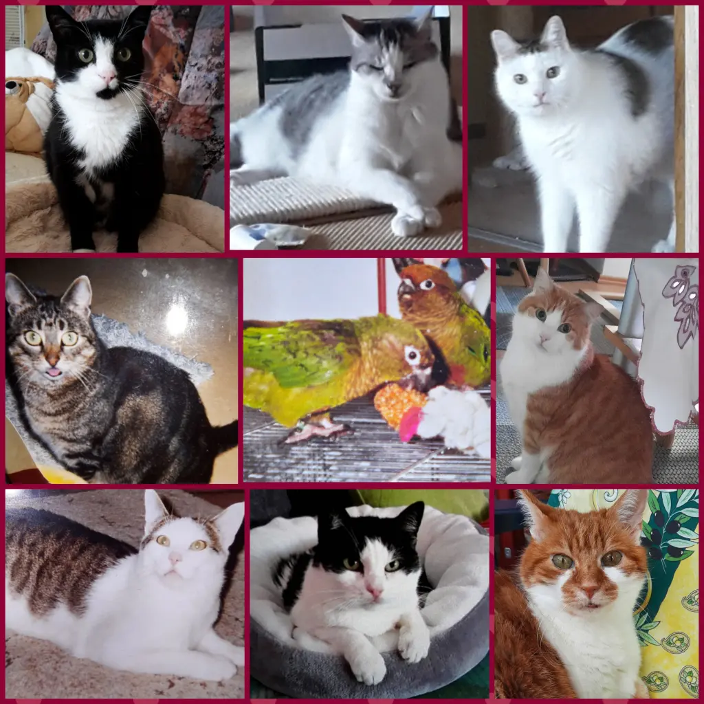 Andachtsbild von ❤️49 Mo❤️Deine Mutti und deine Oma ❤️ 