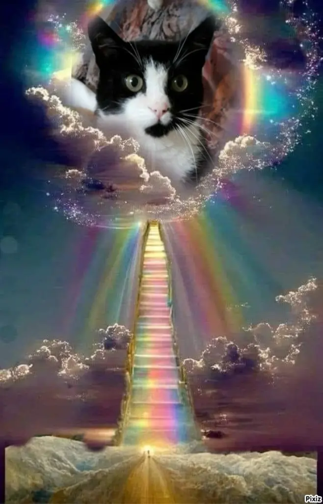 Andachtsbild von Tanja mit Timmy im Herzen 