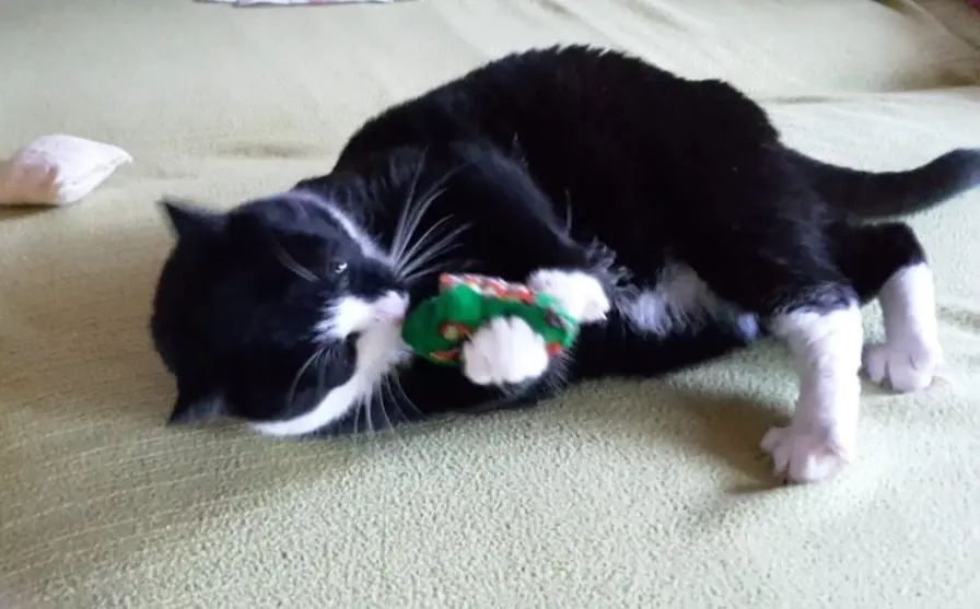 Andachtsbild von ❤️50 Mo❤️Deine Mutti und deine Oma ❤️ 