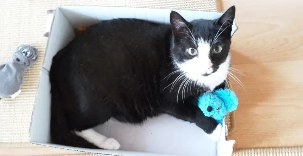 Andachtsbild von ❤️51 Mo❤️Deine Mutti und deine Oma ❤️ 