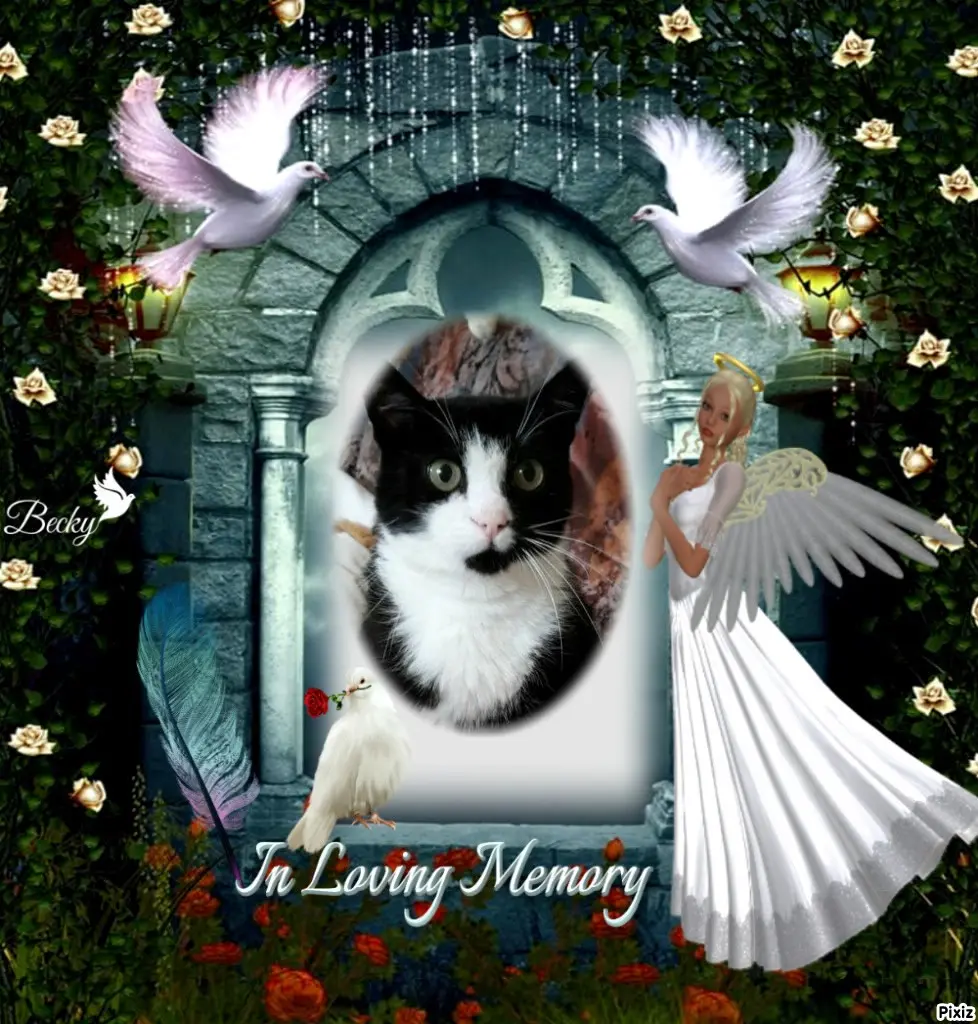 Andachtsbild von Tanja mit Timmy im Herzen 