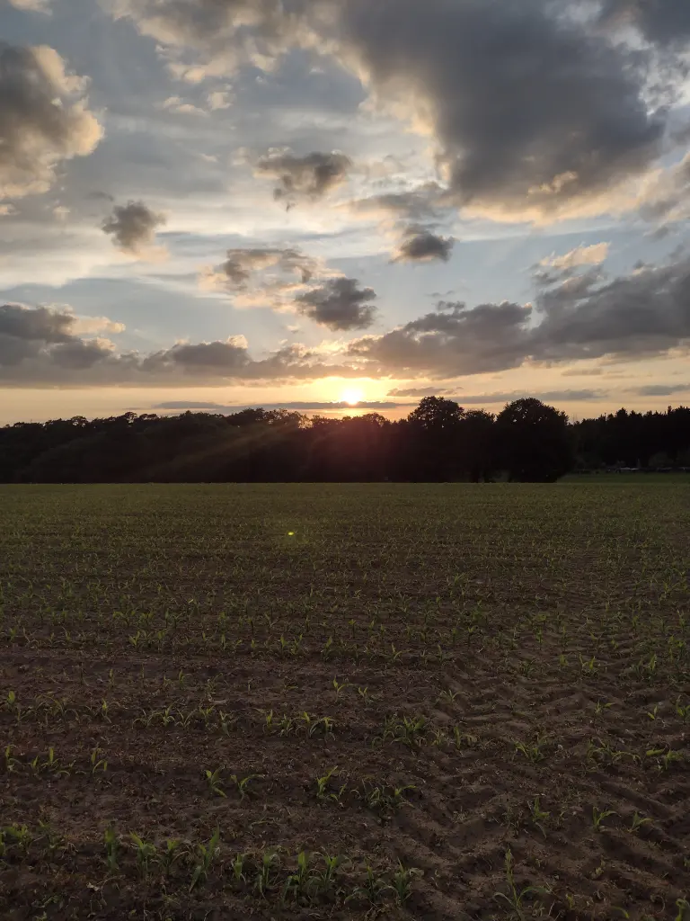 Andachtsbild von Corinna mit Emma, Jengi, Pummelchen und anderen Sternleine im Herzen