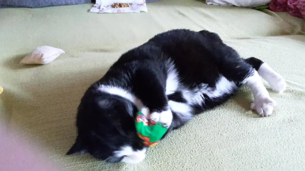 Andachtsbild von ❤️53 Mo❤️Deine Mutti und deine Oma ❤️