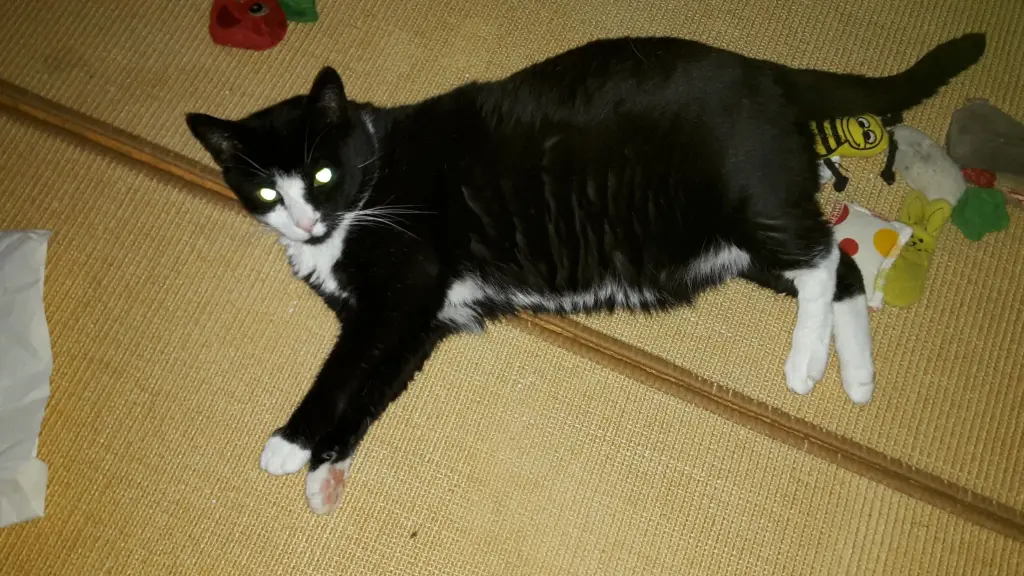 Andachtsbild von ❤️54 Mo❤️Deine Mutti und deine Oma ❤️