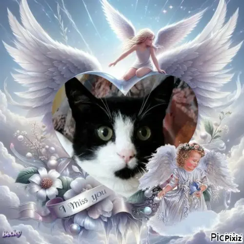 Andachtsbild von Tanja mit Timmy im Herzen