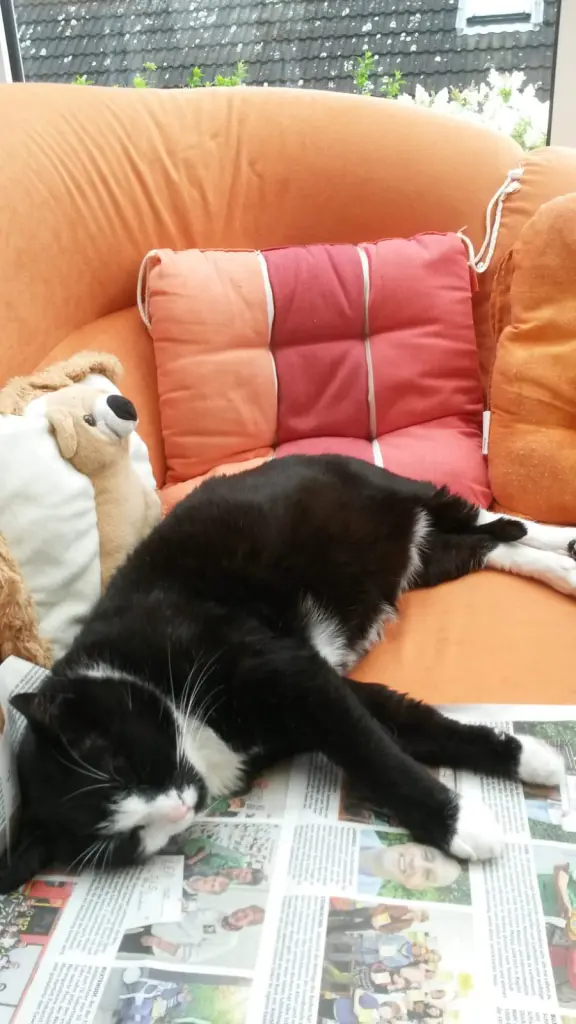 Andachtsbild von ❤️55 Mo❤️Deine Mutti und deine Oma ❤️ 