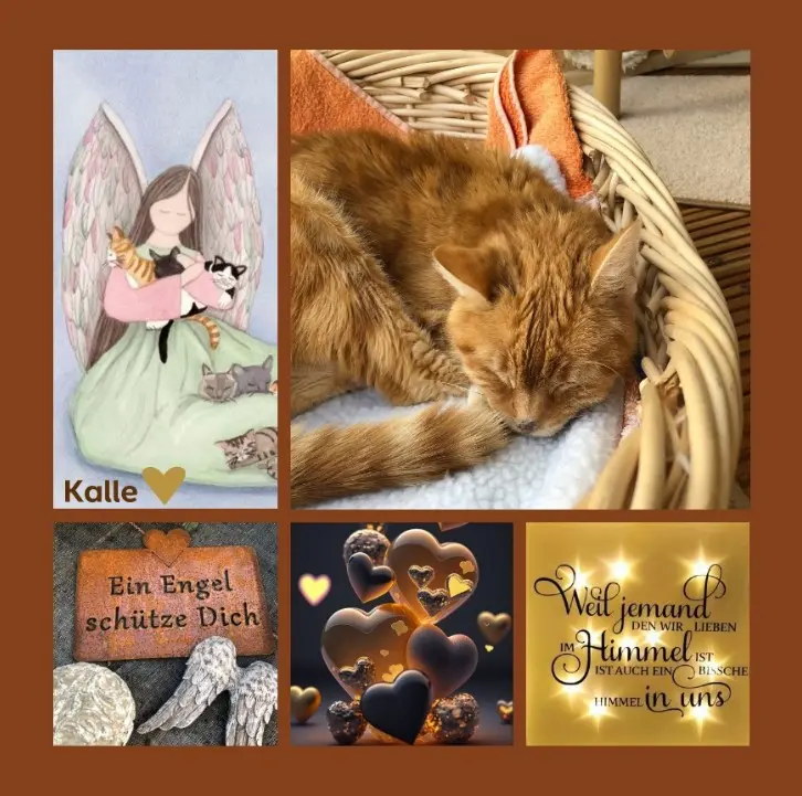 Andachtsbild von In Gedenken an Kalle-Möppel