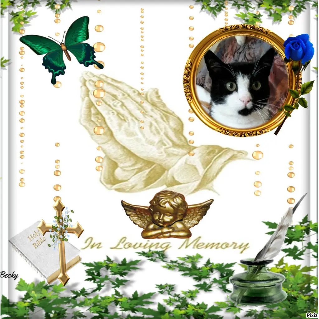 Andachtsbild von Tanja mit Timmy im Herzen 