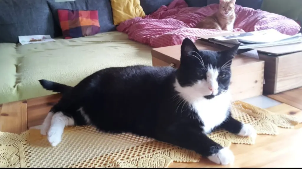 Andachtsbild von ❤️58 Mo❤️Deine Mutti und deine Oma❤️