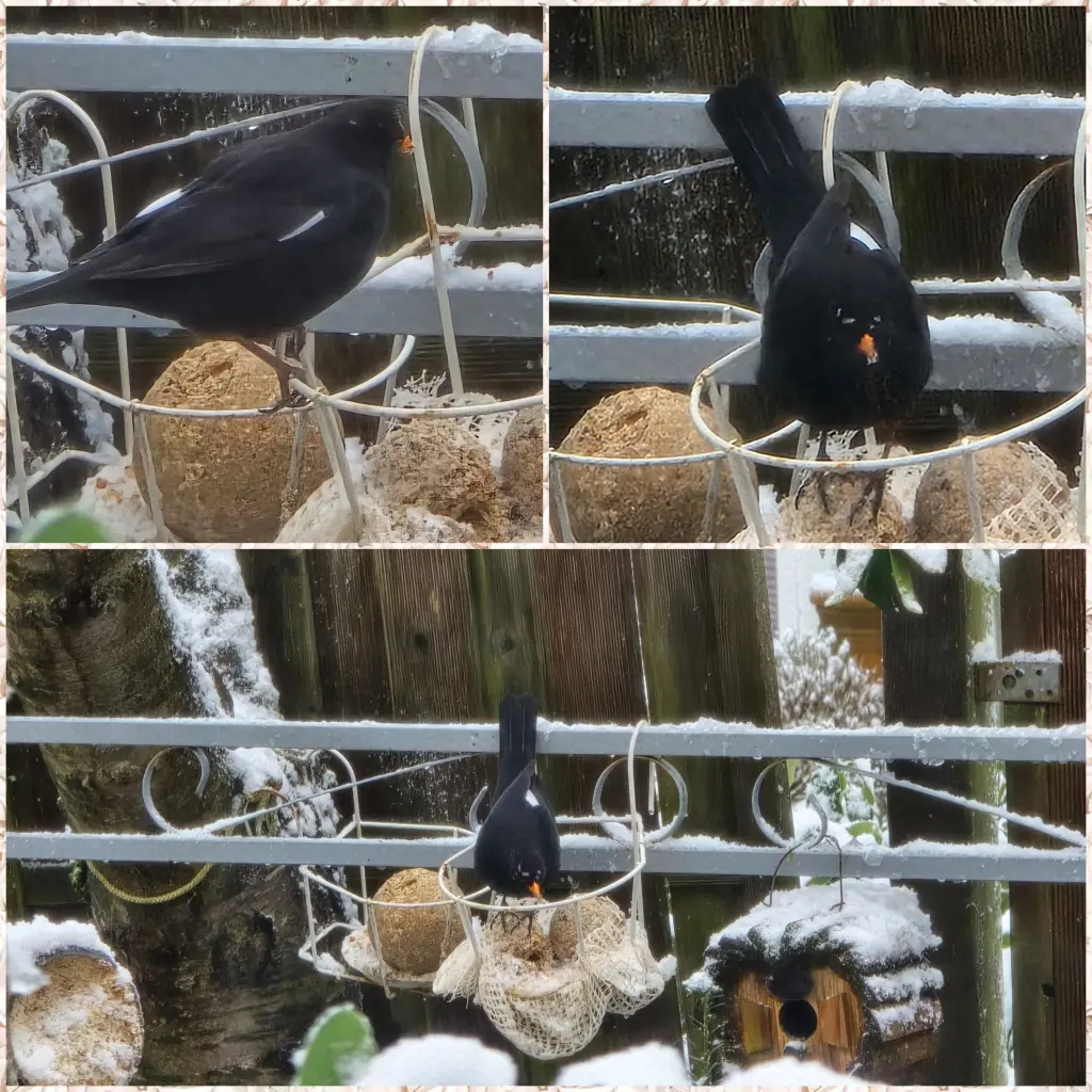 Andachtsbild von ❤️59 Mo❤️Deine Mutti und deine Oma ❤️ 