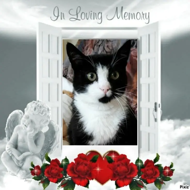 Andachtsbild von Tanja mit Timmy im Herzen 