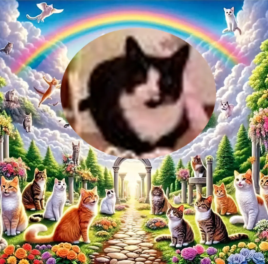 Andachtsbild von 5.Sternchen⭐️Gedenktag❤️❤️❤️❤️❤️