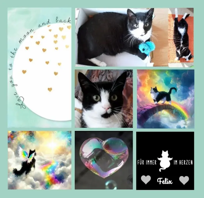 Andachtsbild von Rosen für Felix zum 5. Sternchentag