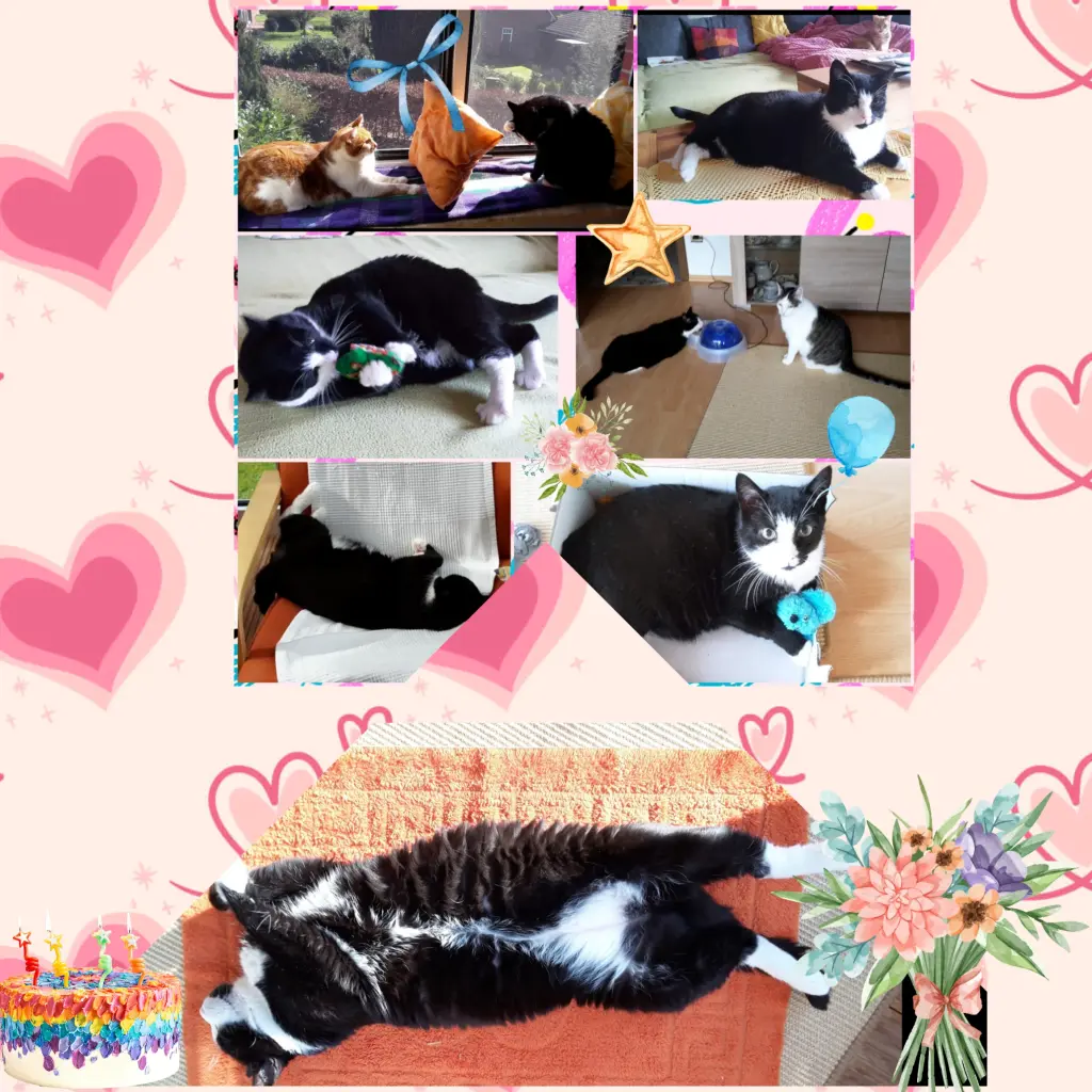 Andachtsbild von ❤️5 Jahre❤️Deine Mutti und deine Oma ❤️ 