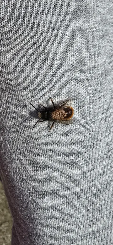 Andachtsbild von ❤️61 Mo❤️Deine Mutti und deine Oma ❤️ 