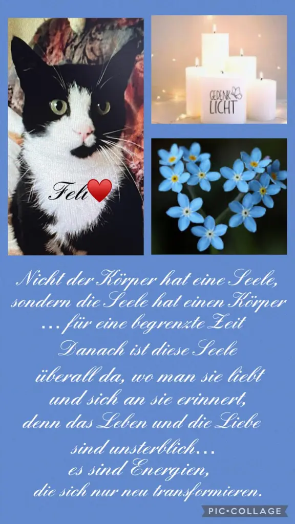 Andachtsbild von ❤️63 Mo❤️Deine Mutti und deine Oma ❤️