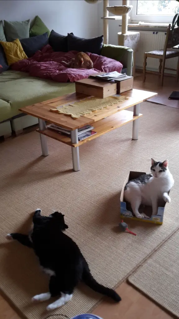 Andachtsbild von ❤️64 Mo❤️Deine Mutti und deine Oma ❤️