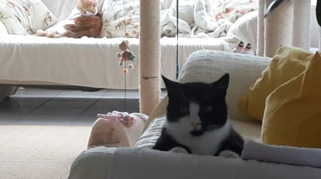 Andachtsbild von ❤️u5 Mo ❤️Deine Mutti und deine Oma ❤️