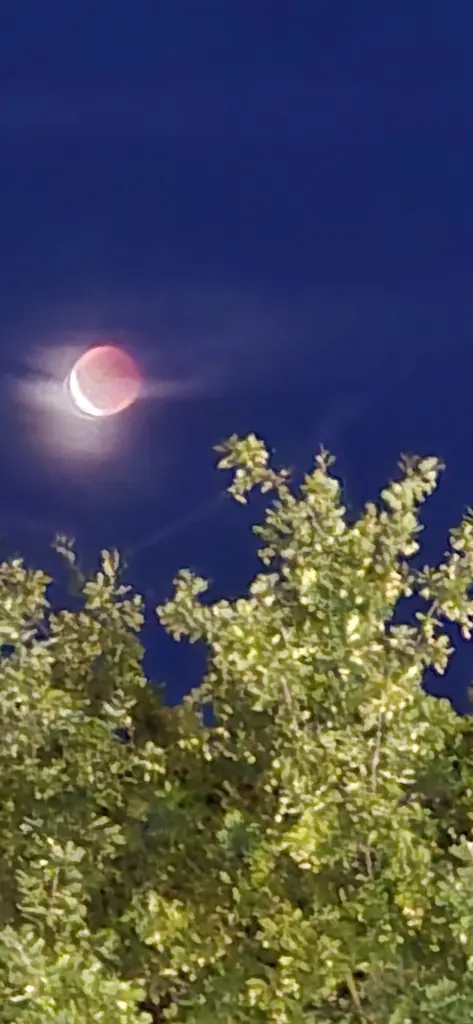 Andachtsbild von ❤️67 Mo❤️Deine Mutti und deine Oma ❤️