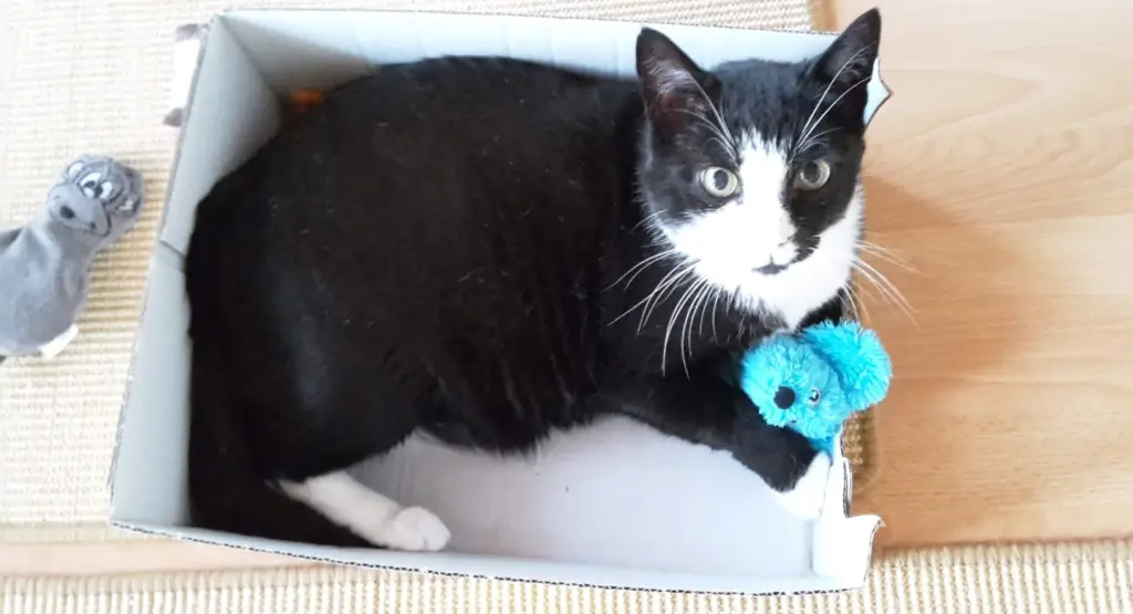 Andachtsbild von ❤️68 Mo❤️Deine Mutti und deine Oma ❤️