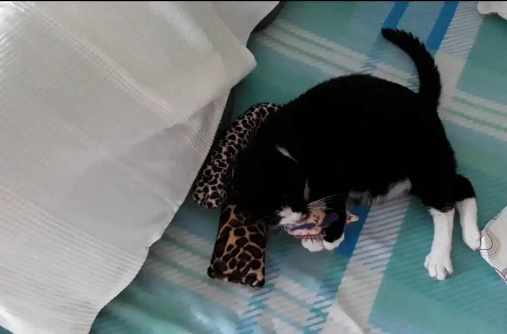 Andachtsbild von ❤️1100 Röschen❤️69 Mo❤️Deine Mutti und deine Oma ❤️