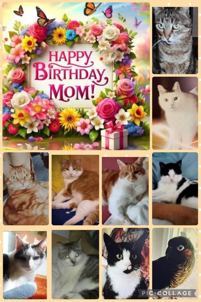 Andachtsbild von ❤️Für unser liebstes Felixchen ❤️