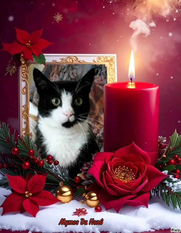 Andachtsbild von Tanja mit Timmy im 💘