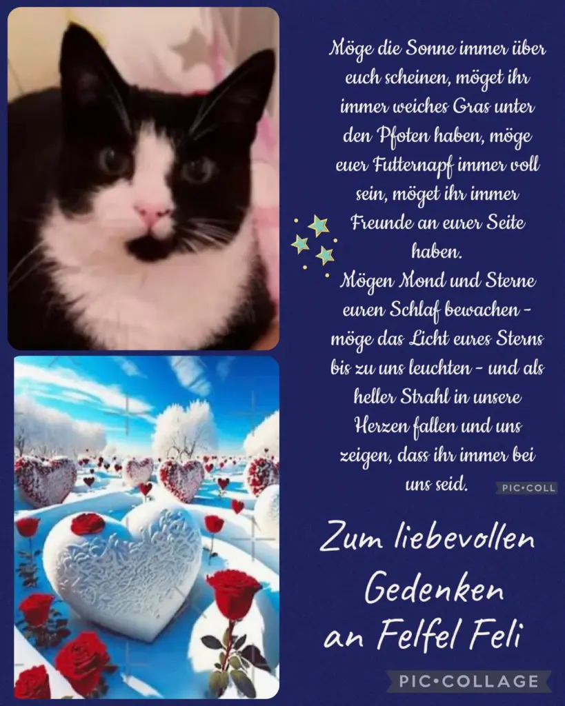 Andachtsbild von ❤️Deine Mutti und deine Oma ❤️