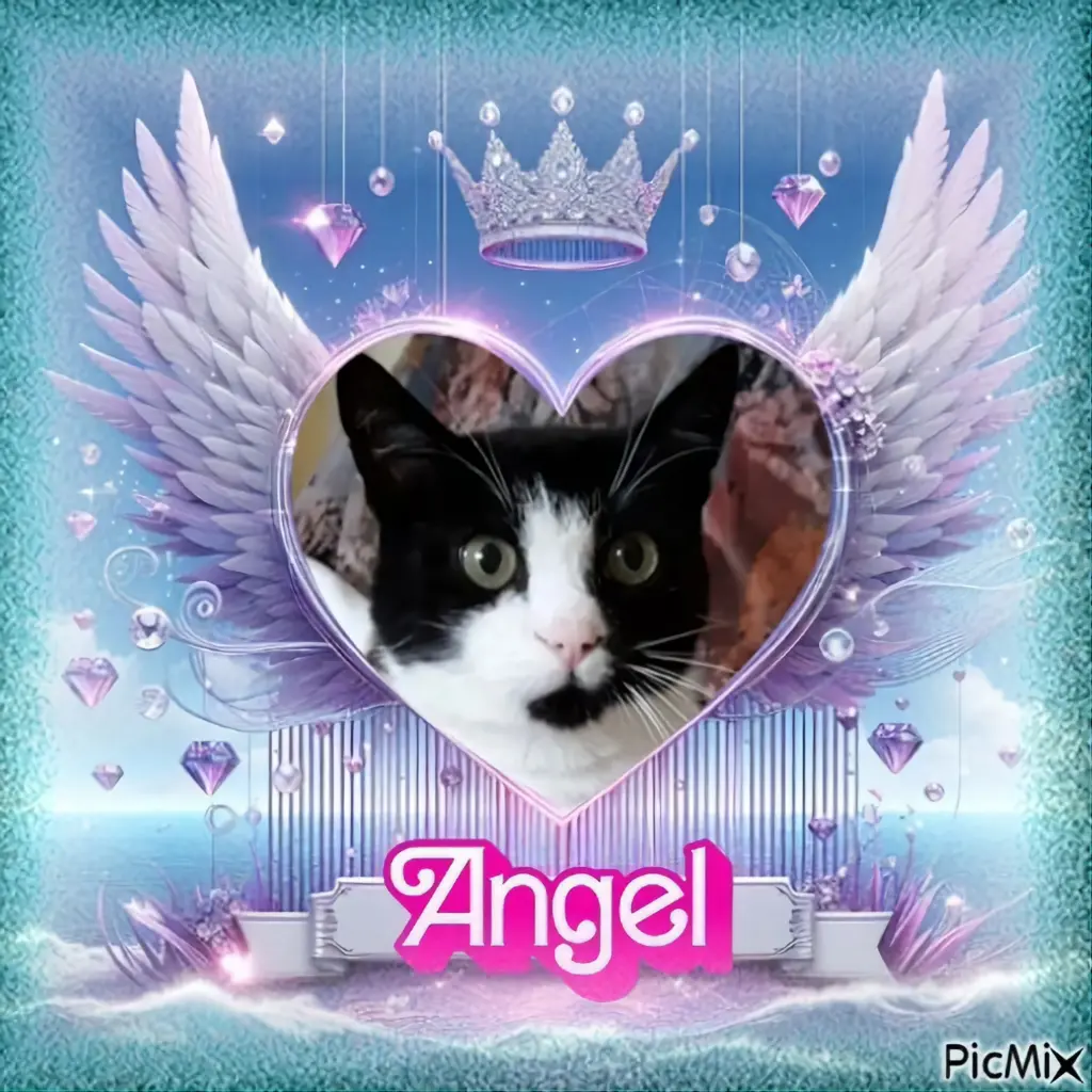 Condolence image of 6.Sternchen⭐️Gedenktag❤️❤️❤️❤️❤️❤️