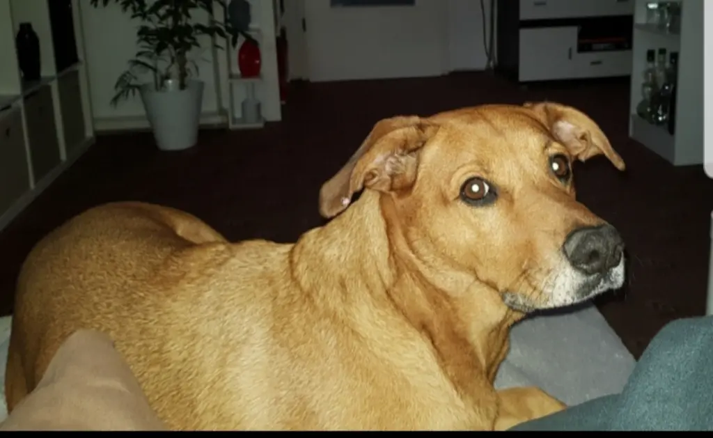 Image from Frieda