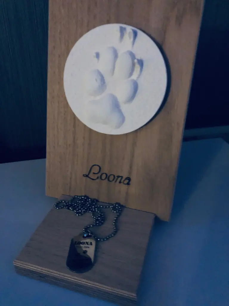 Image from Loona