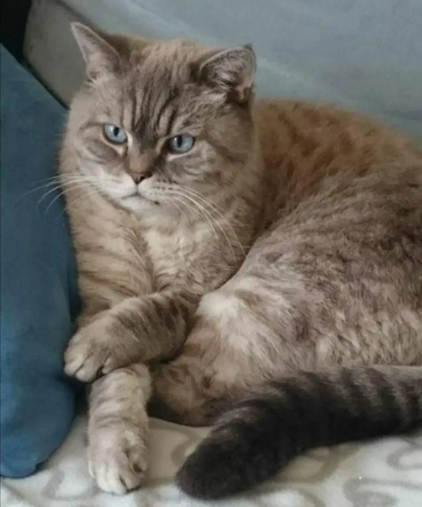 Condolence image of Katja